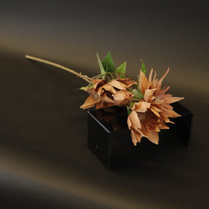 HCFL9350 - LS Coffee Cactus Dahlia