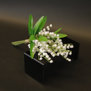 HCFL9352 - Spiked Lily of the Valley Bq