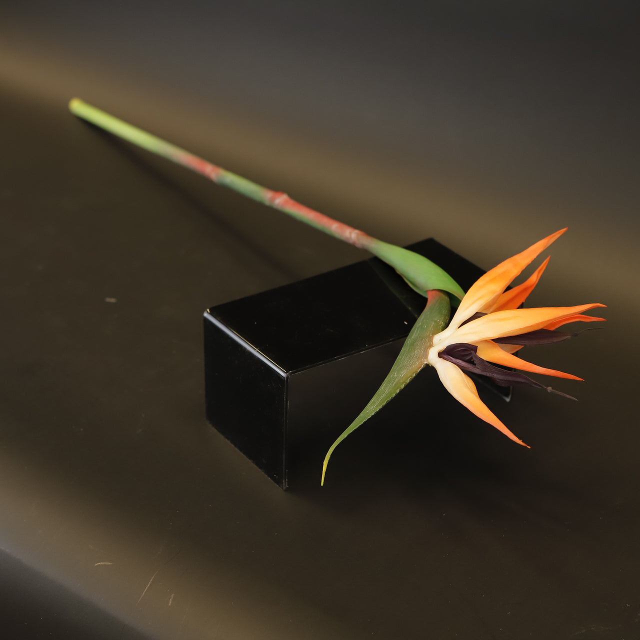 HCFL9364 - LS Bird of Paradise