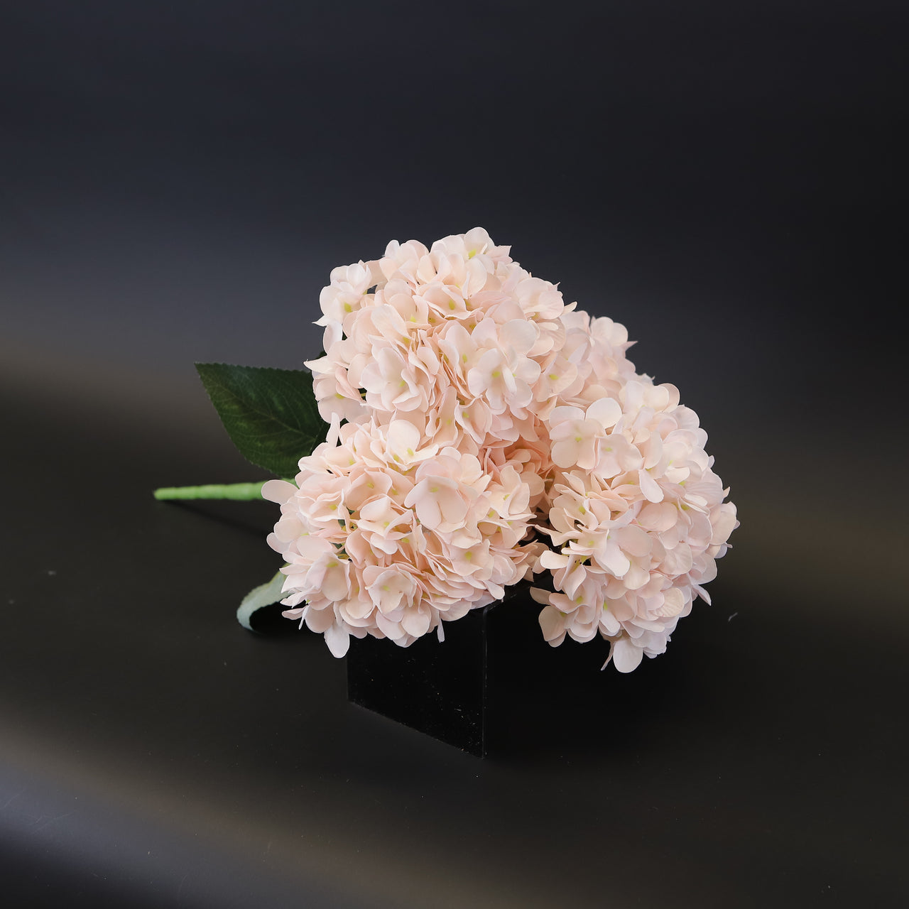 HCFL9374 - Peach Hydrangea Bq