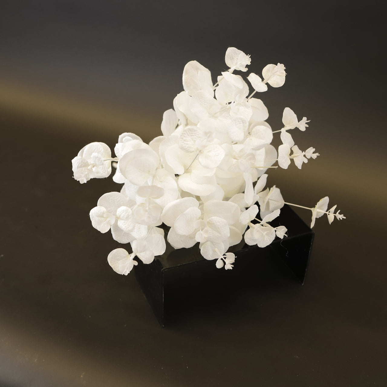 HCFL9380 - Snow White Eucalyptus Bq