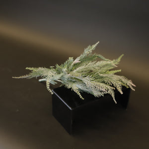 HCFL9381 - Frosted Evergreen Bq