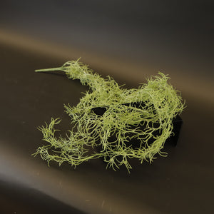 HCFL9383 - Trailing Sphagnum Moss