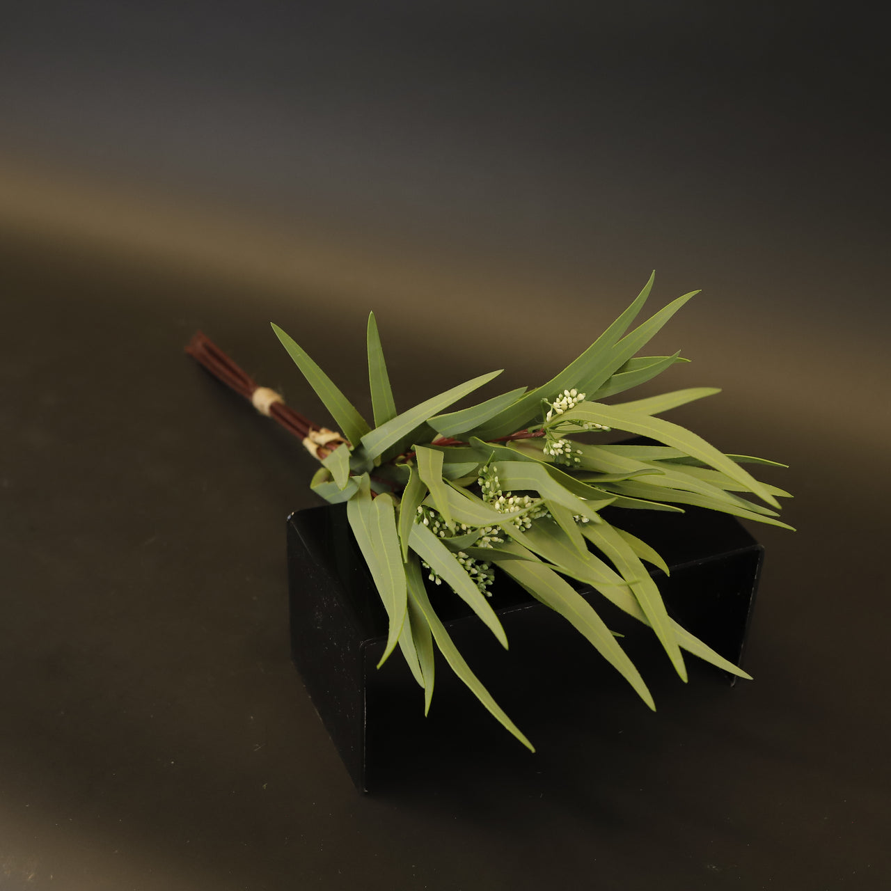 HCFL9385 - Light Green Seeded Eucalyptus
