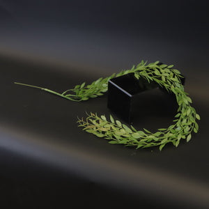 HCFL9389 - Trailing Oval Leaf Vine