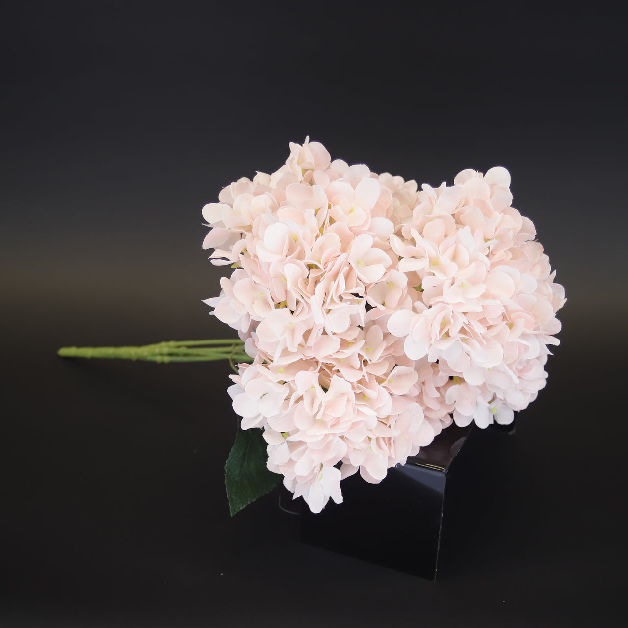 HCFL9578 - Peach Hydrangea Bq