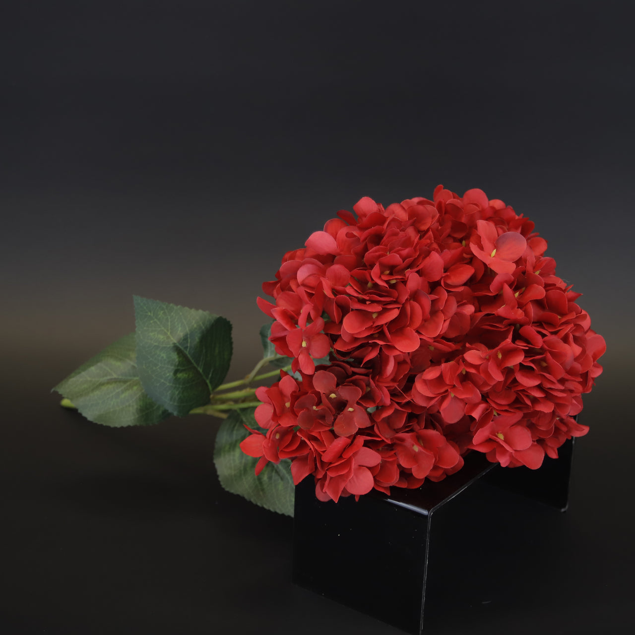 HCFL9579 - Red Hydrangea Bq