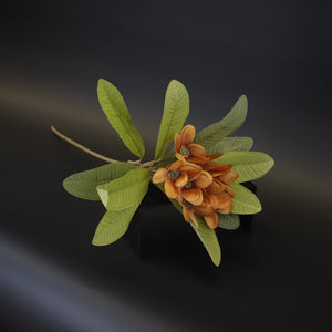 HCFL9582 - LS Rust Lantana