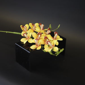 HCFL9620 - Yellow Tiny LS Orchid