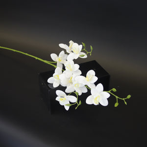 HCFL9621 - White Tiny LS Orchid