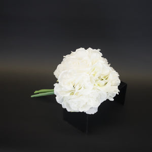 HCFL9659 - Mixed White Carnation Bq