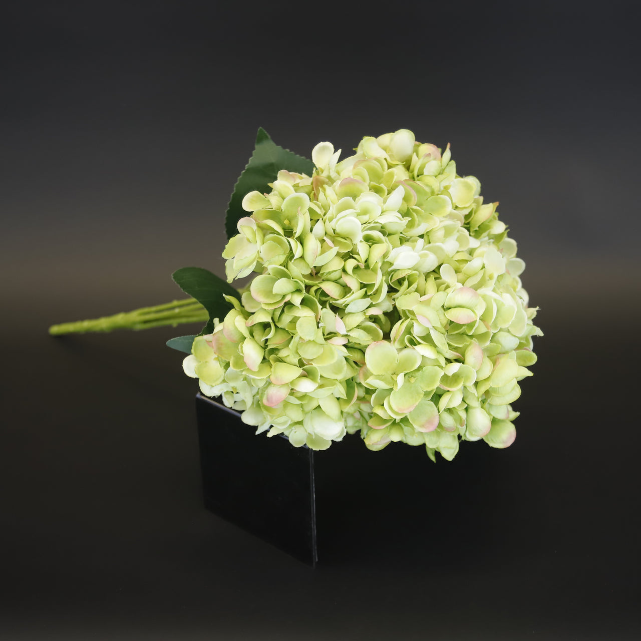 HCFL9697 - Chartreuse Lacecap Hydrangea Bq