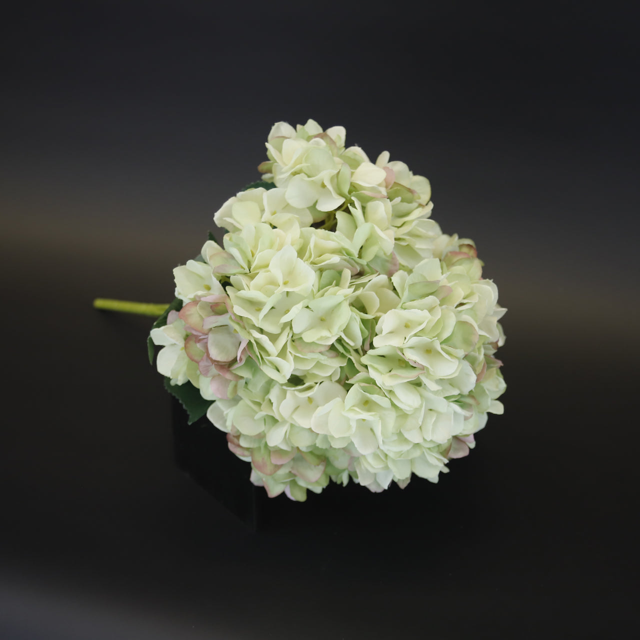 HCFL9698 - Mint Hortensia Bq