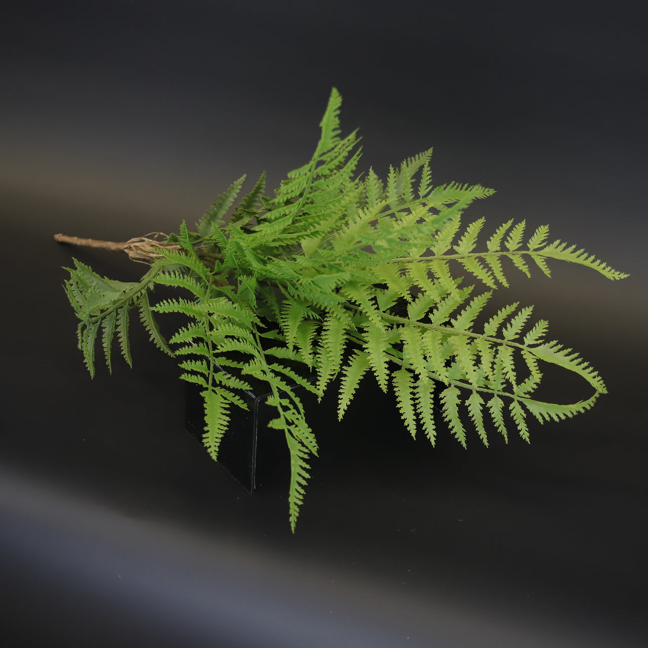 HCFL9704 - Dk Green Venus Hair Fern