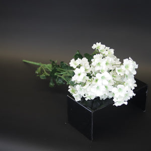 HCFL9709 - White Acacia Rose Bq