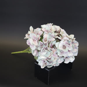 HCFL9711 - Fancy Mixed Green Hydrangea Bq