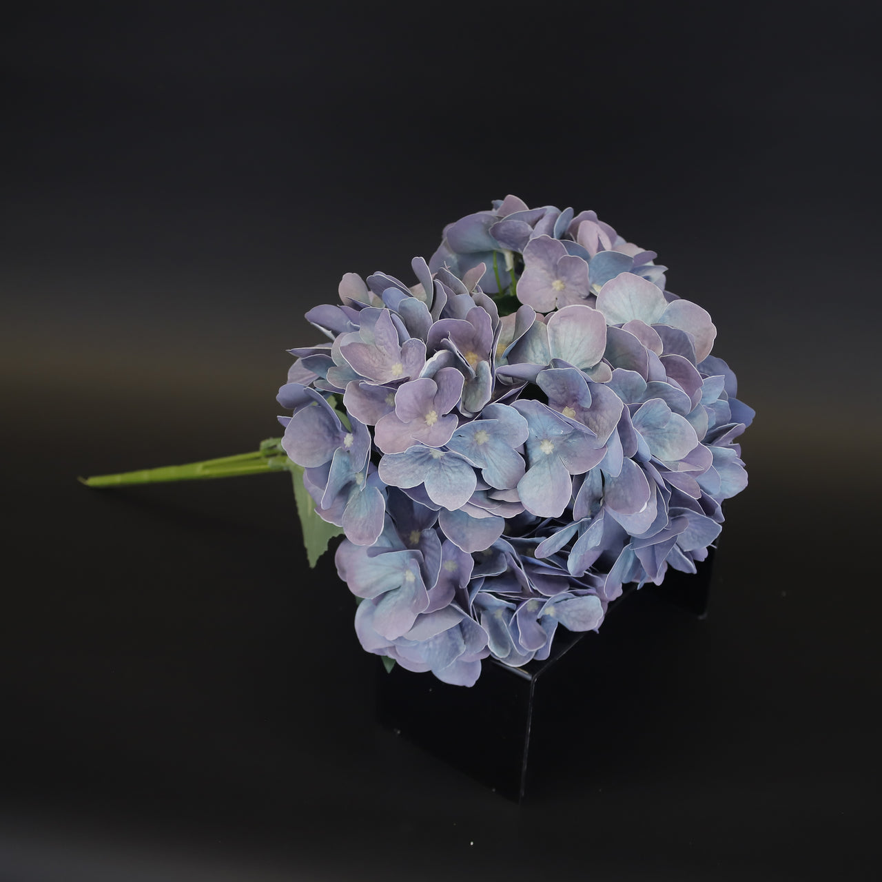 HCFL9712 - Fancy Mixed Periwinkle Hydrangea Bq