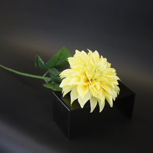 HCFL9714 - LS Yellow Garden Dahlia