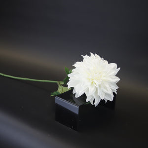 HCFL9715 - LS White Garden Dahlia