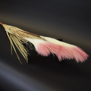 HCFL9732 - Cream Zebra Grass Bq