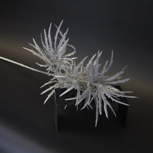 HCFL9734 - LS Grey Maiden Grass