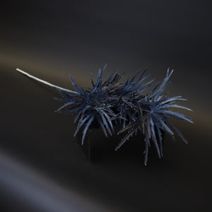 HCFL9736 - LS Dk Blue Maiden Grass