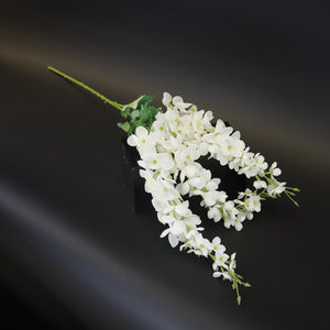 HCFL9740 - LS White Trailing Wisteria