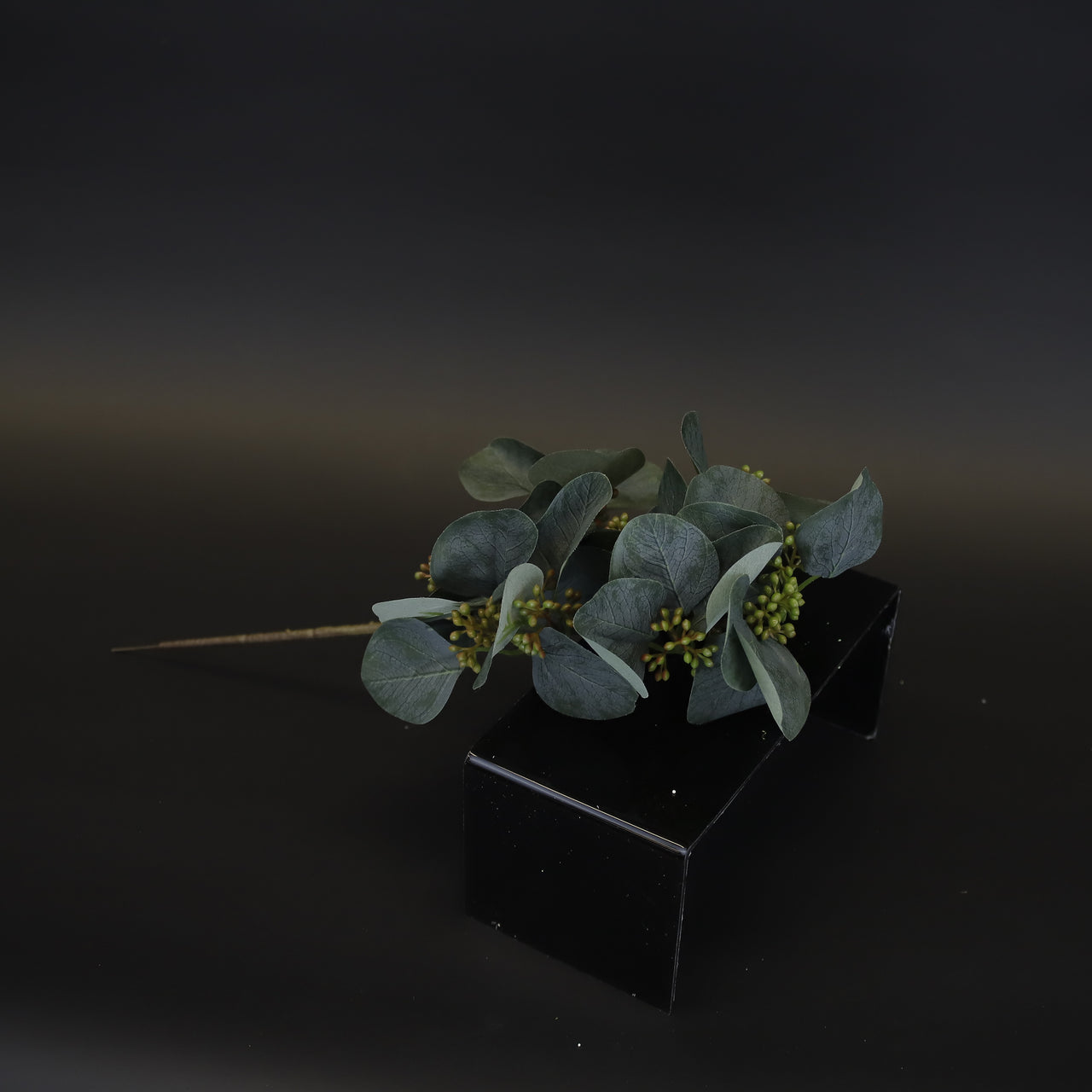 HCFL9786 - Green Bigleaf Seeded Eucalyptus Bq