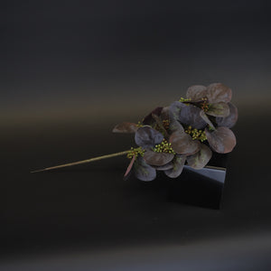 HCFL9787 - Purple Bigleaf Seeded Eucalyptus Bq