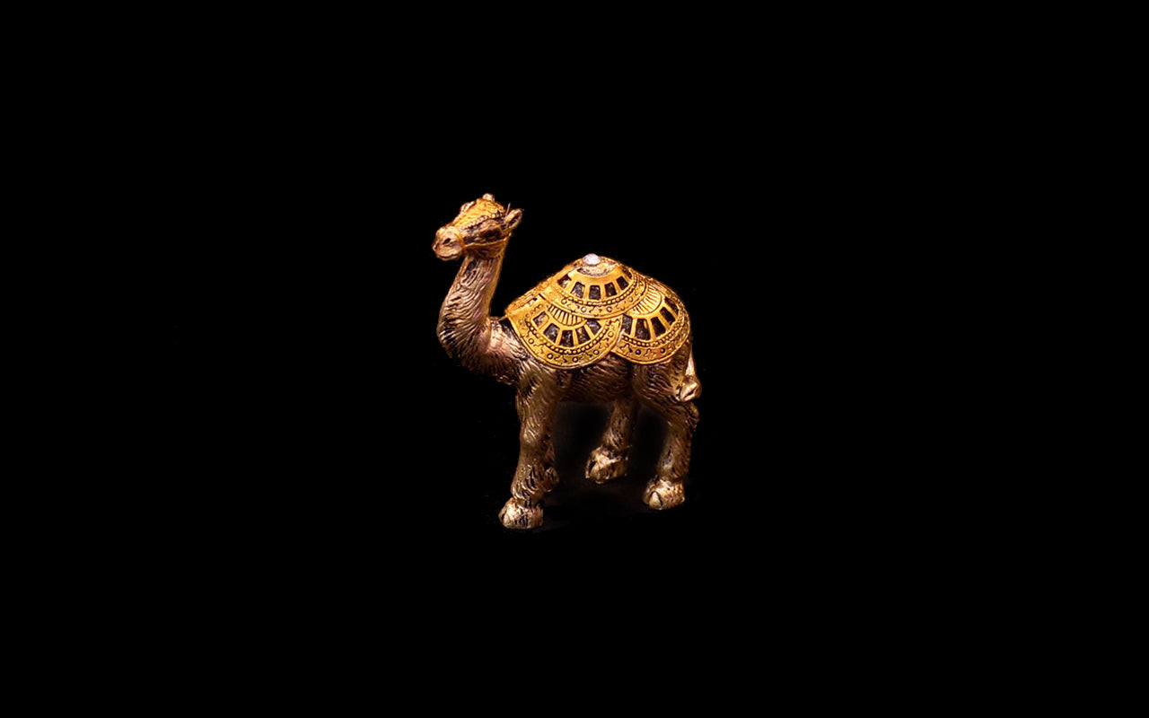 HCHD5024 - Gold Camel Set - 1 of 5