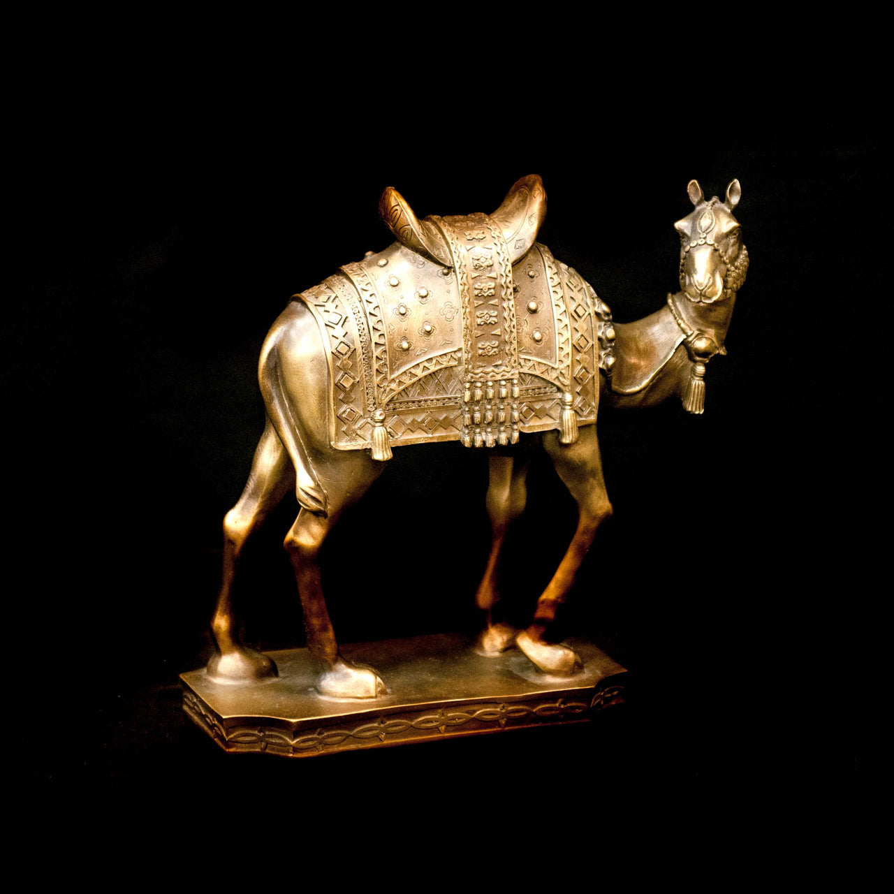 HCHD5225 - Ornate Camel
