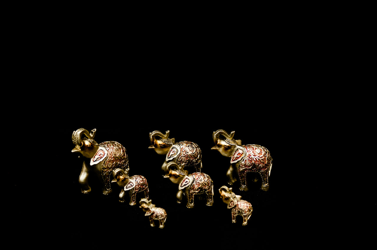 HCHD5240 - Silver Elephant Set - 5 of 7