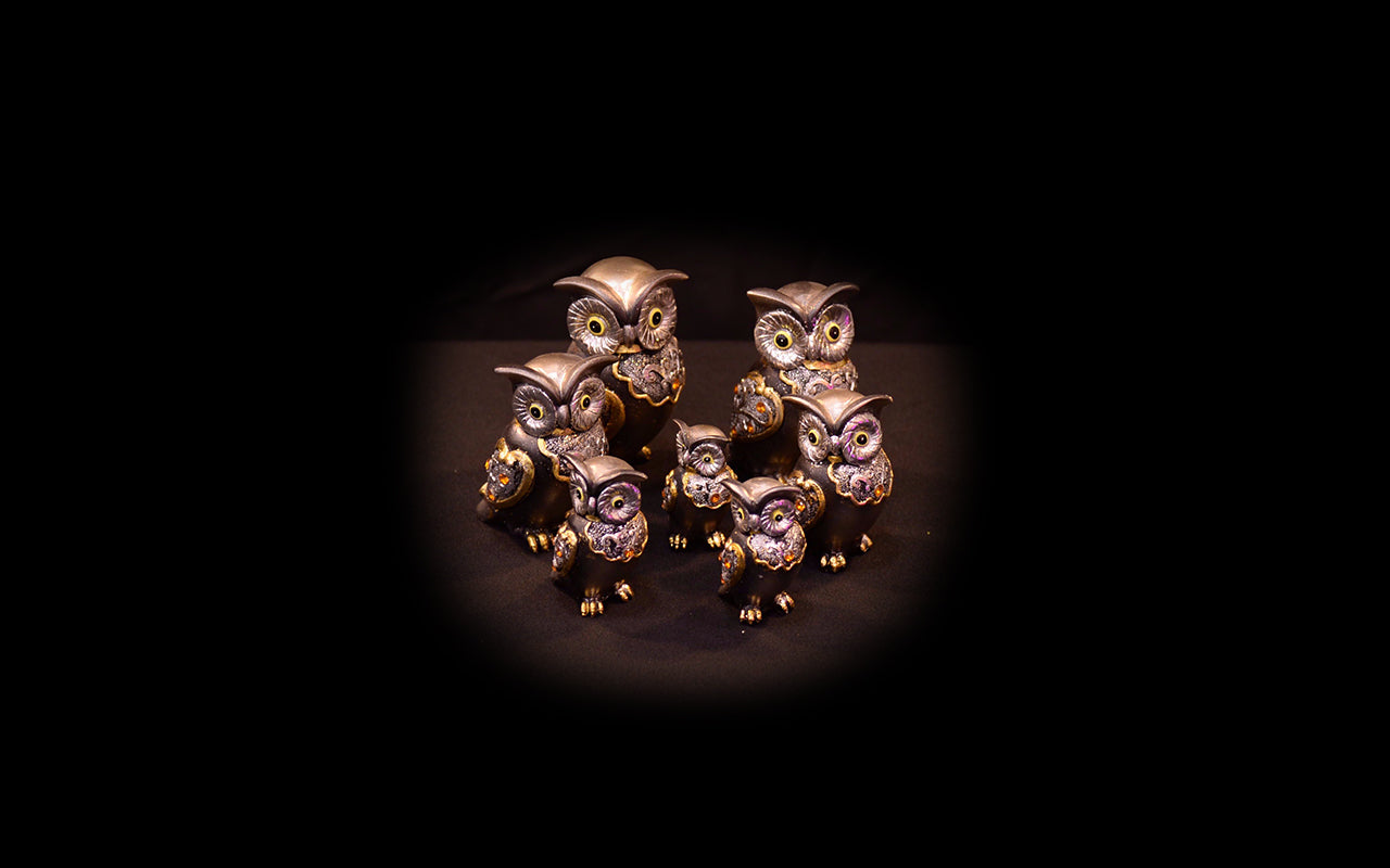 HCHD5405 - Silver Owl Set - 1 of 7
