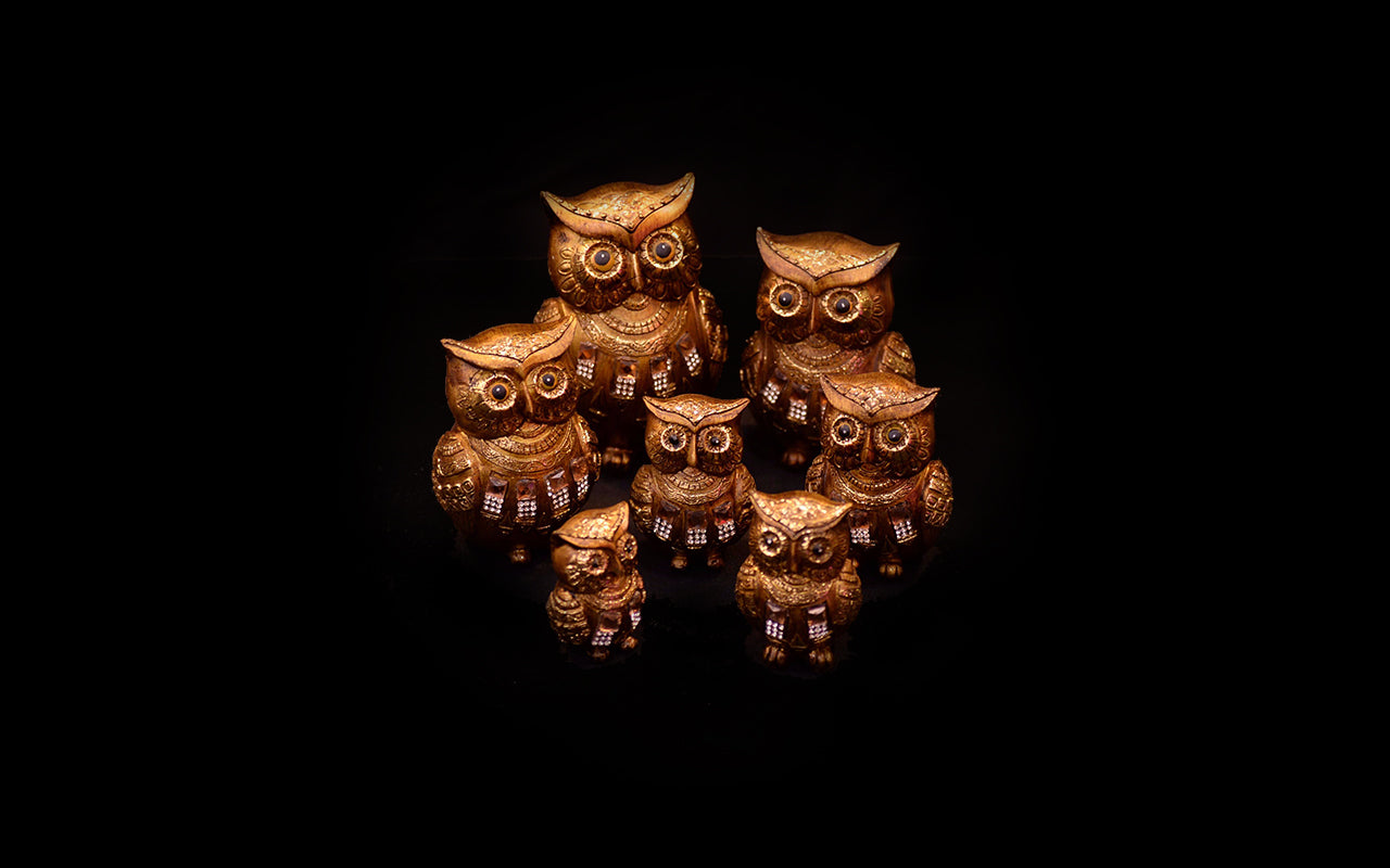 HCHD5437 - Gold Owl Set - 1 of 7