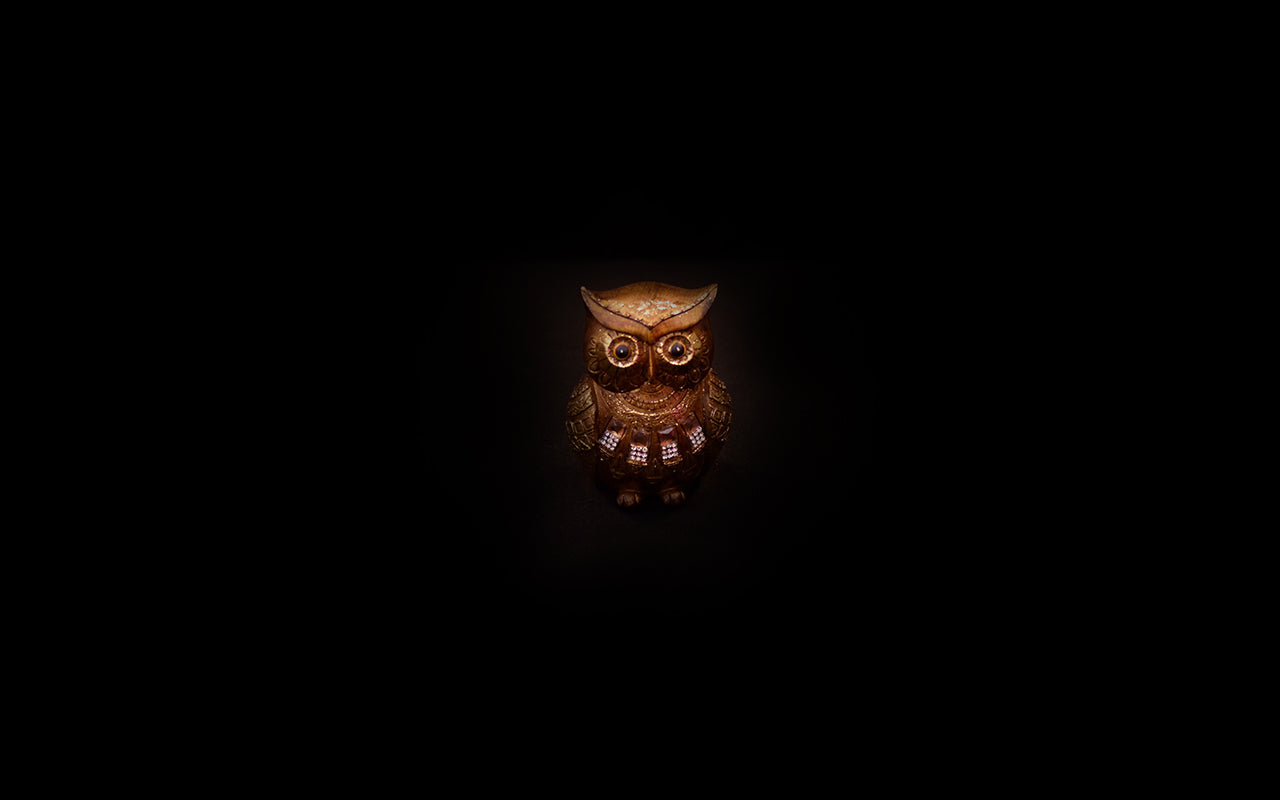 HCHD5441 - Gold Owl Set - 5 of 7