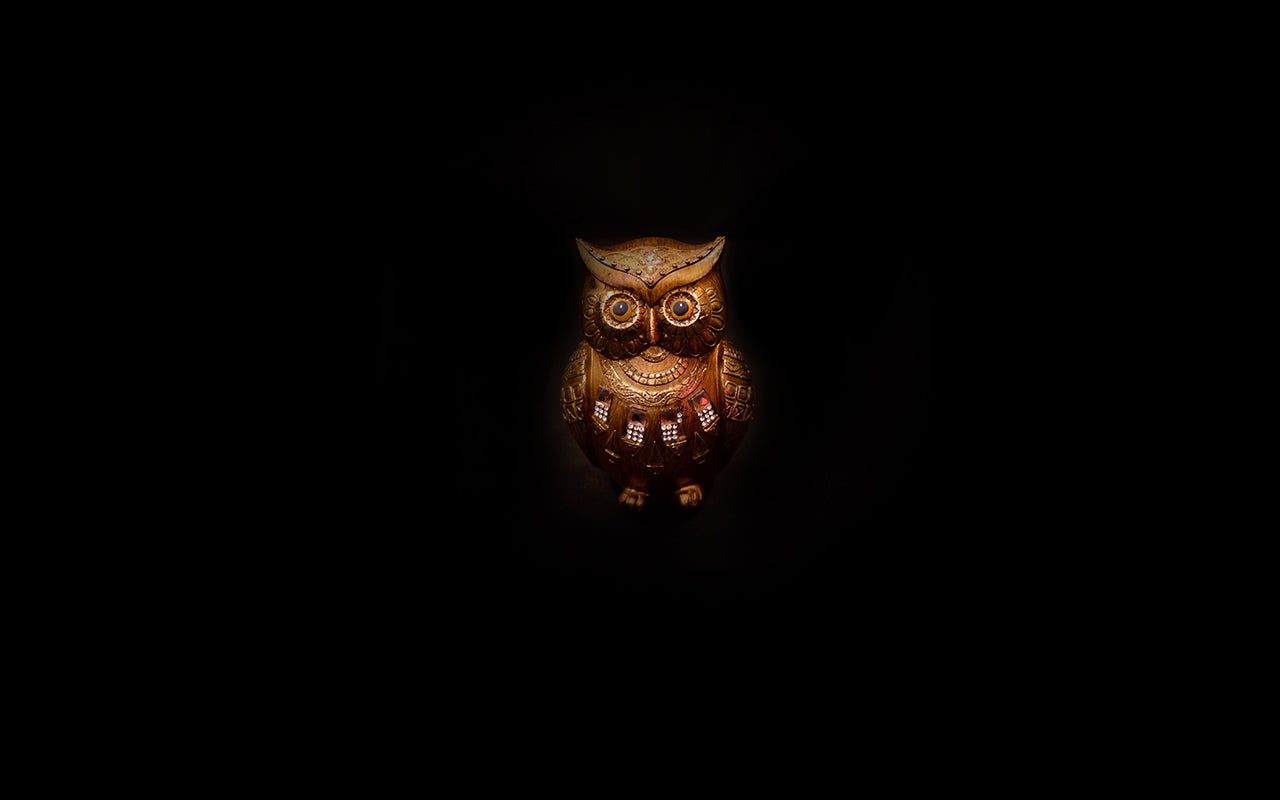 HCHD5442 - Gold Owl Set - 6 of 7