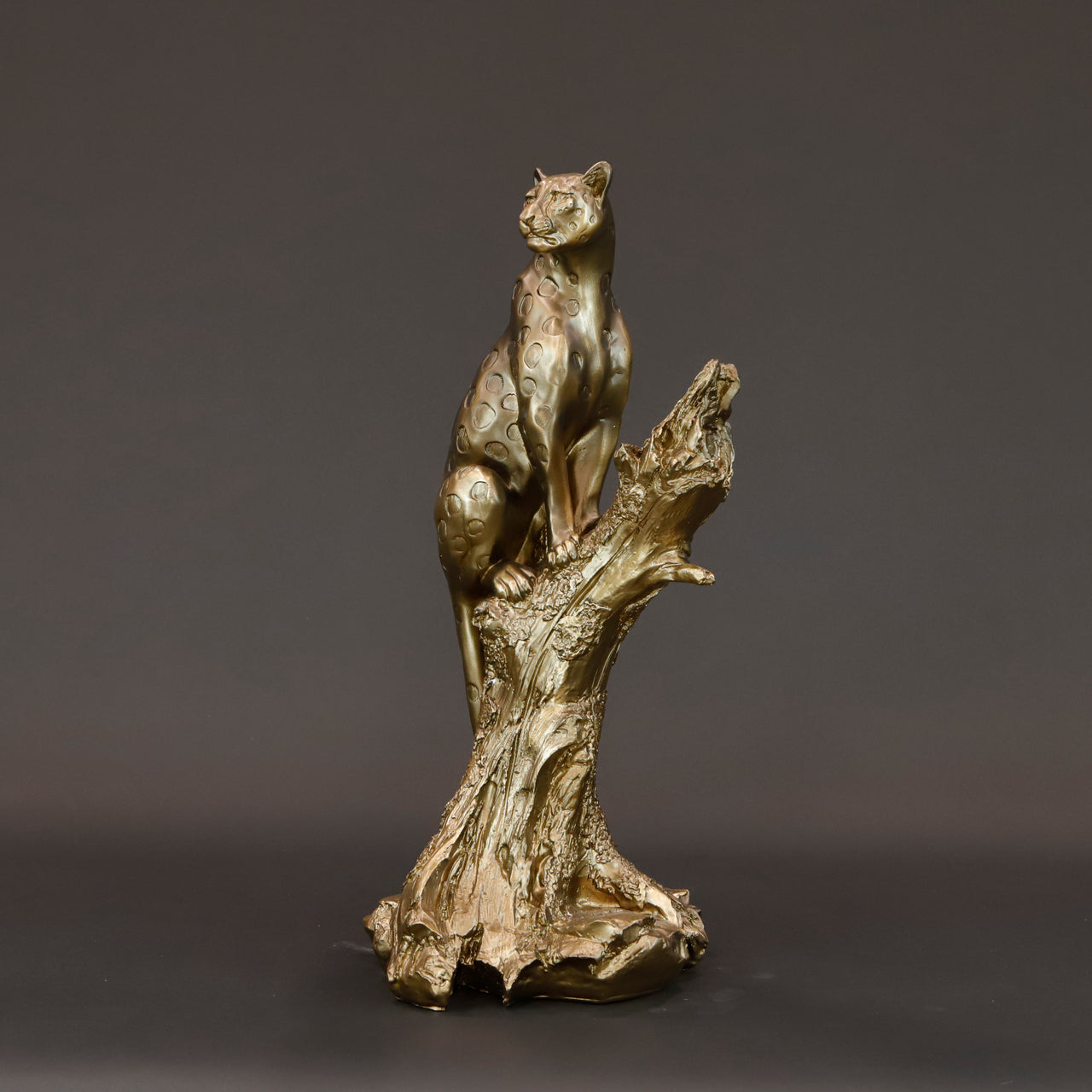 HCHD5547 - Standing Leopard on Tree