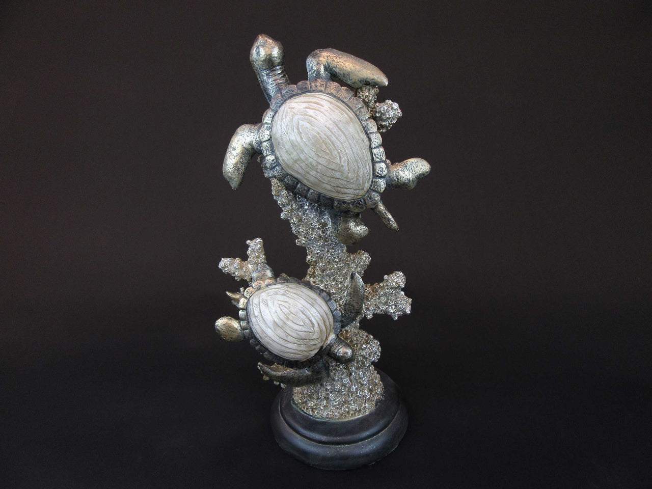 HCHD5576 - Green Turtle on Coral