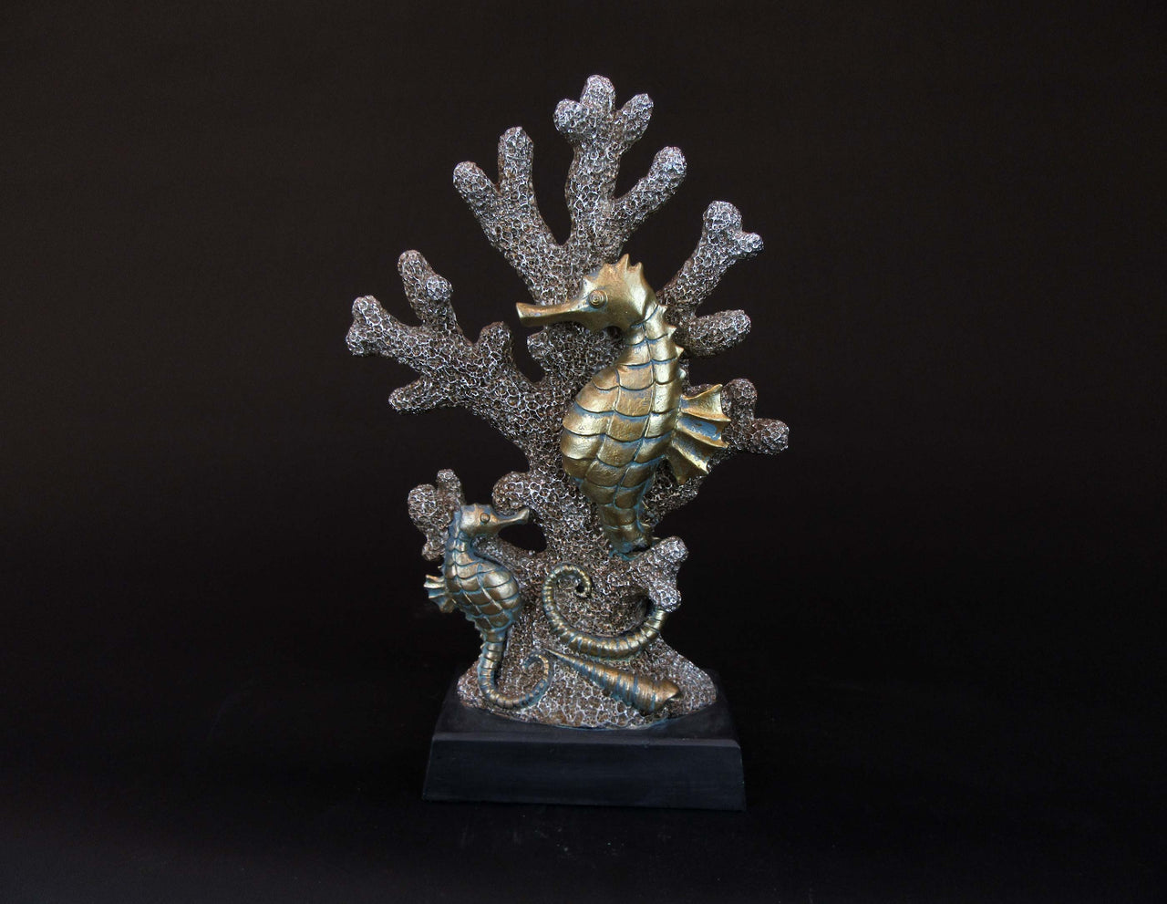 HCHD5578 - Sea Horse on Coral