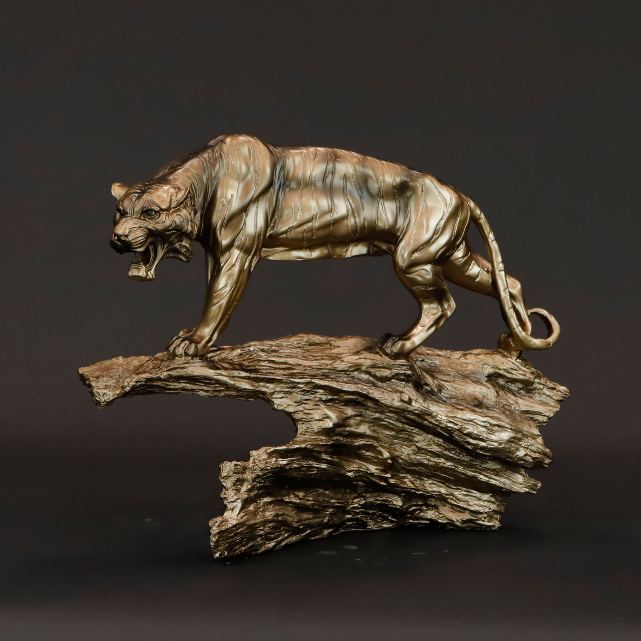 HCHD5880 - Tiger on Log