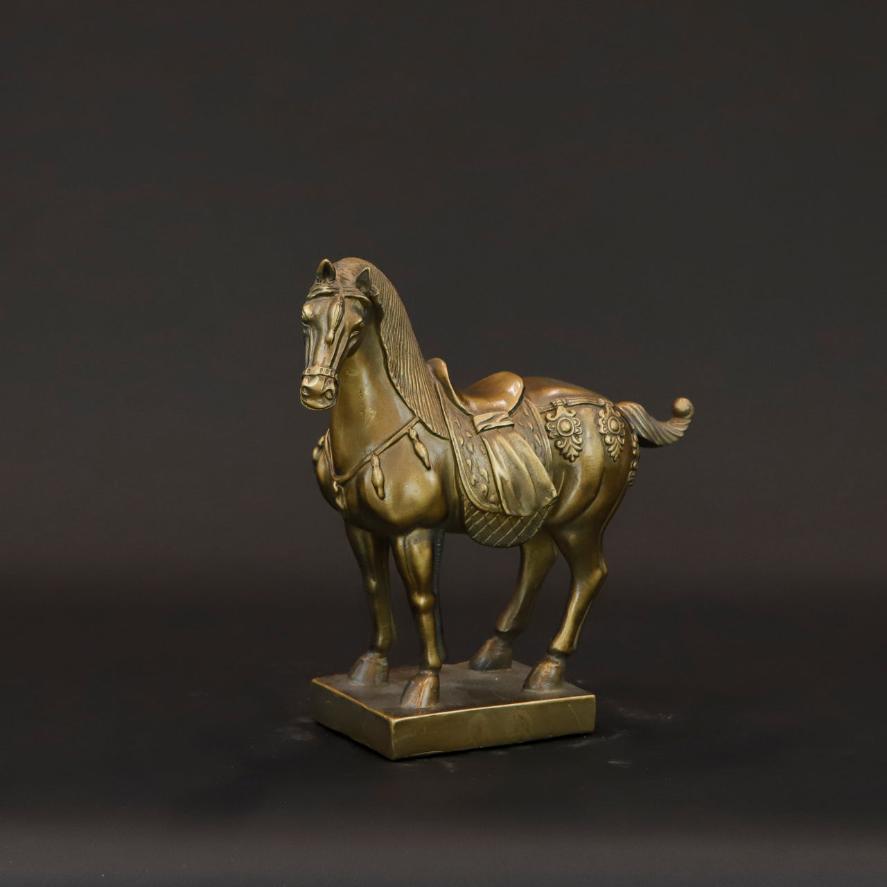 HCHD5949 - Marching Horse