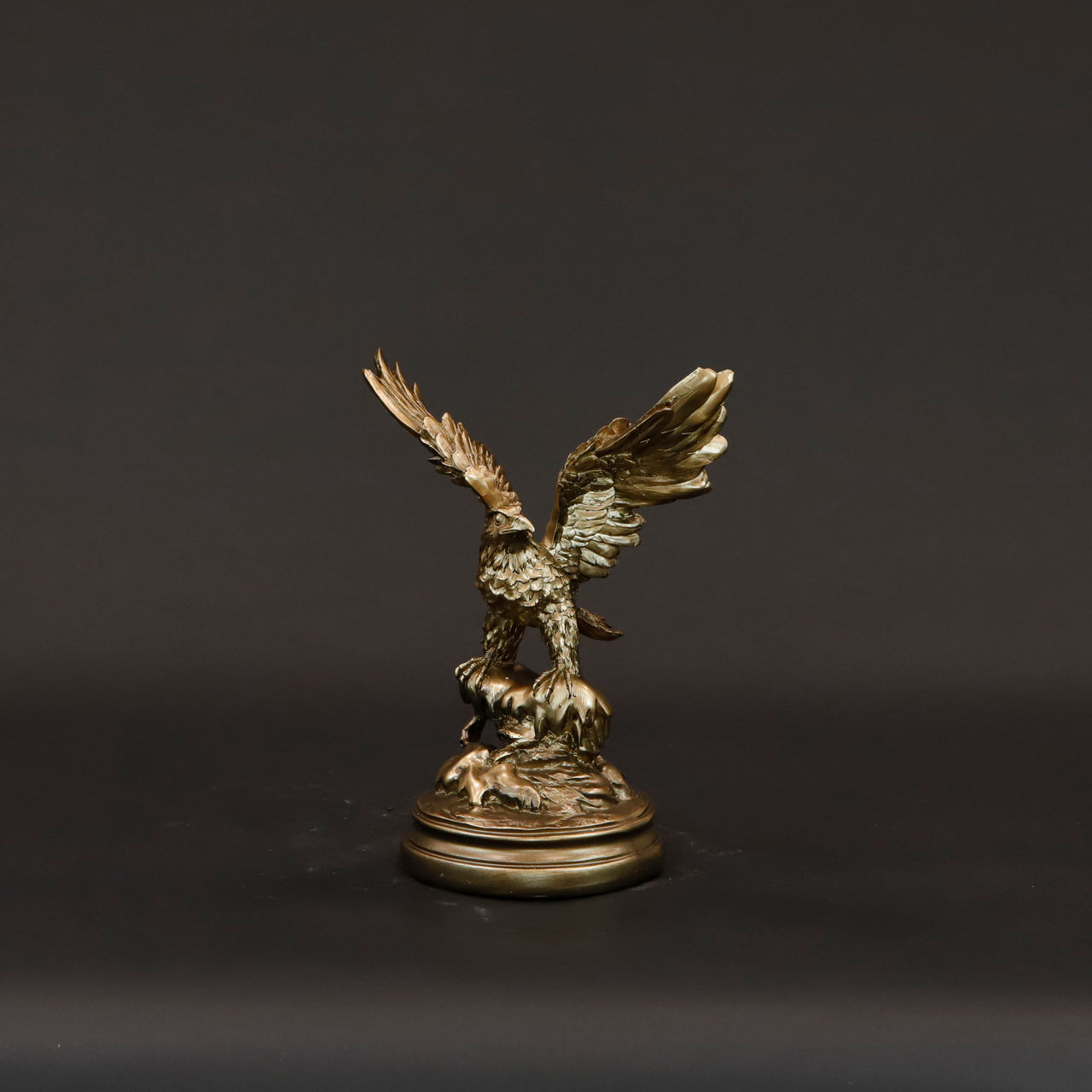 HCHD6183 - Small Soaring Eagle