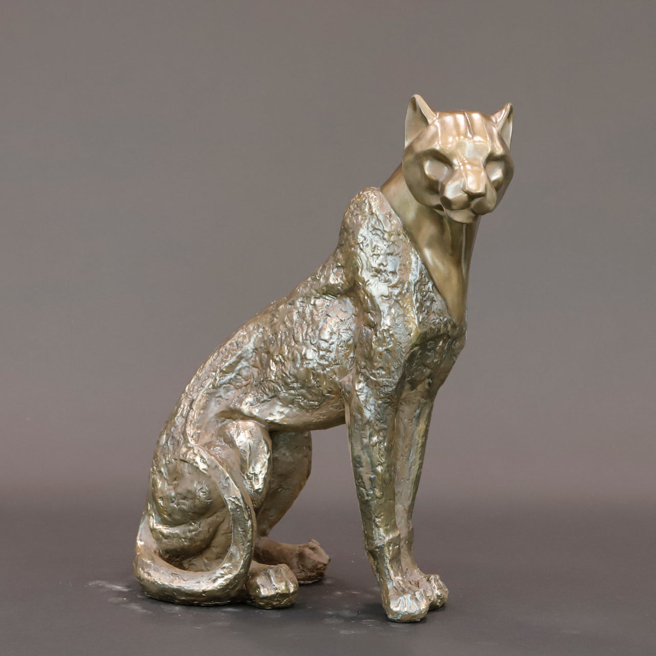 HCHD6186 - Sitting Jaguar