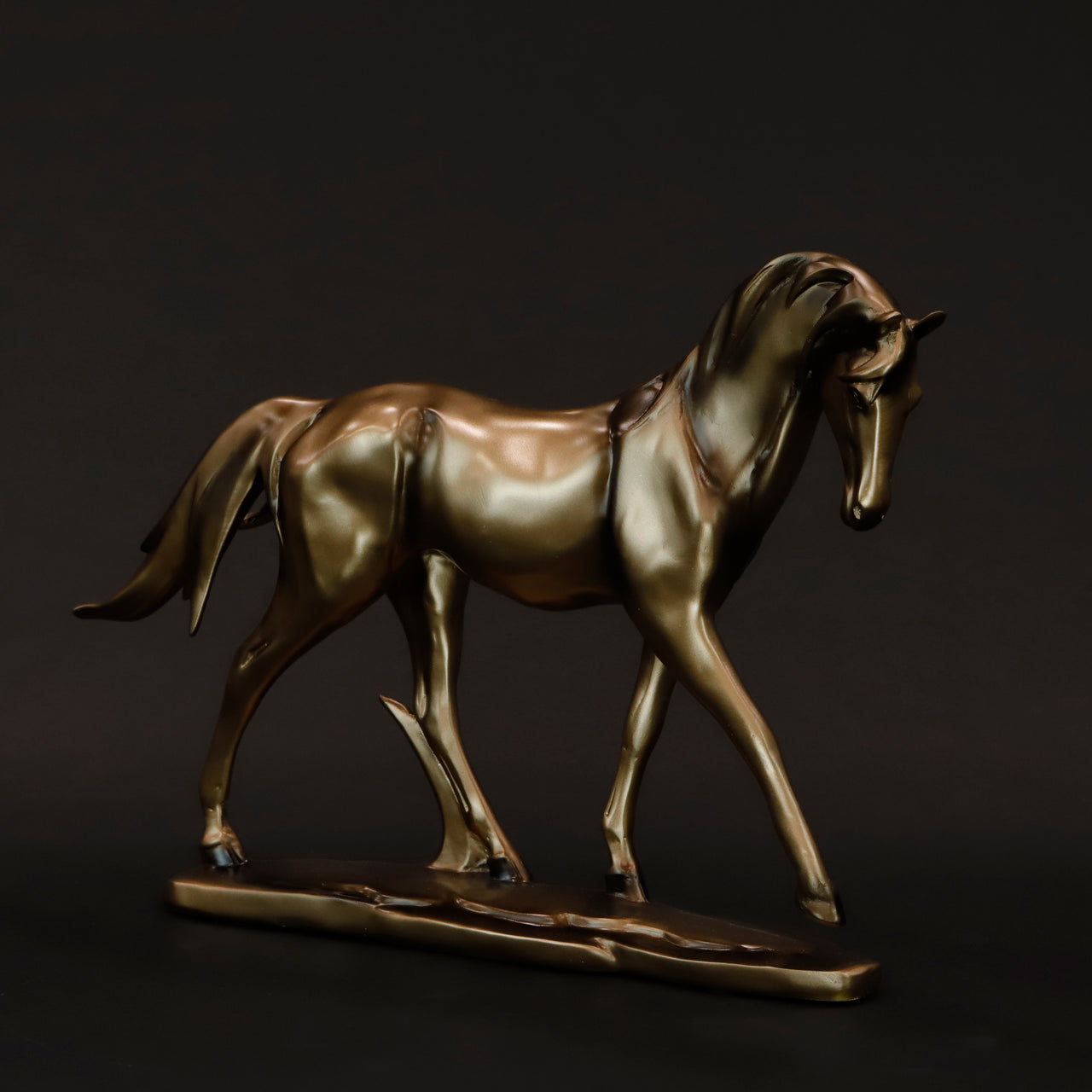 HCHD6373 - Thoroughbred Horse