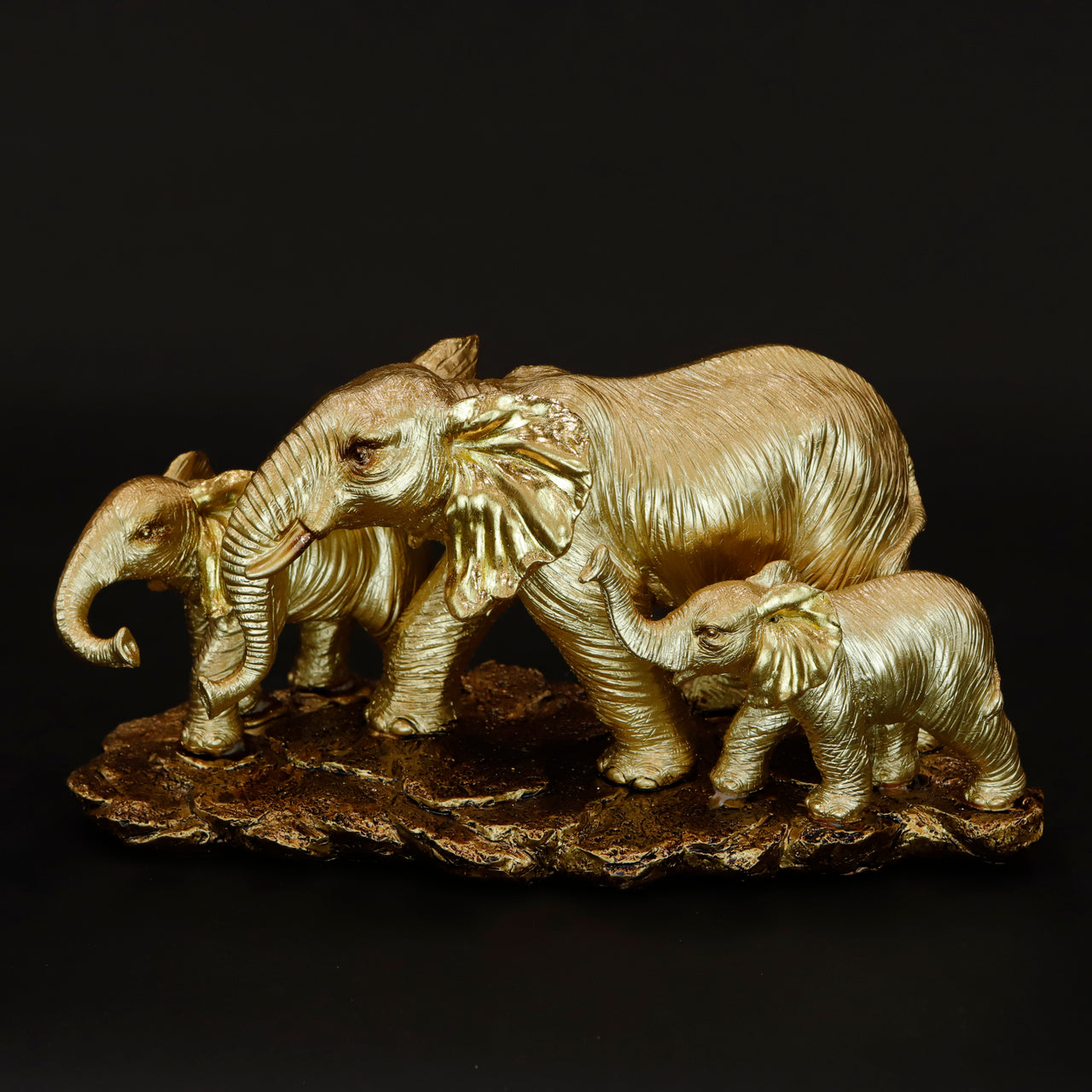 HCHD6377 - Elephant Family