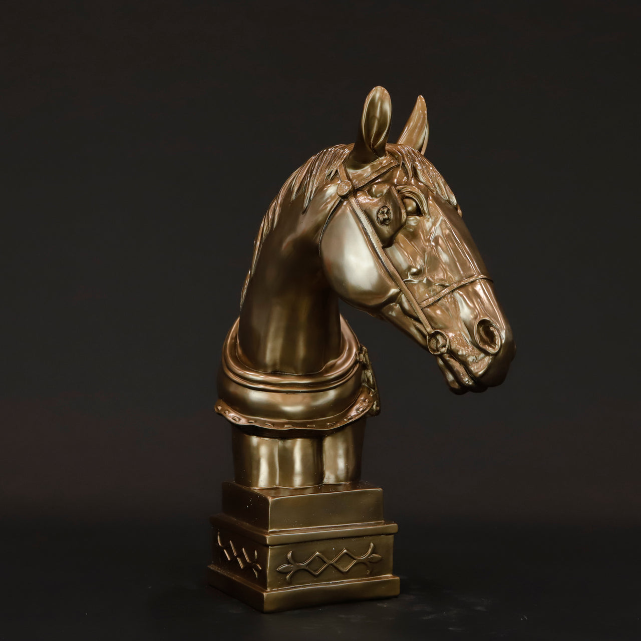 HCHD6531 - Thoroughbred Horse Head