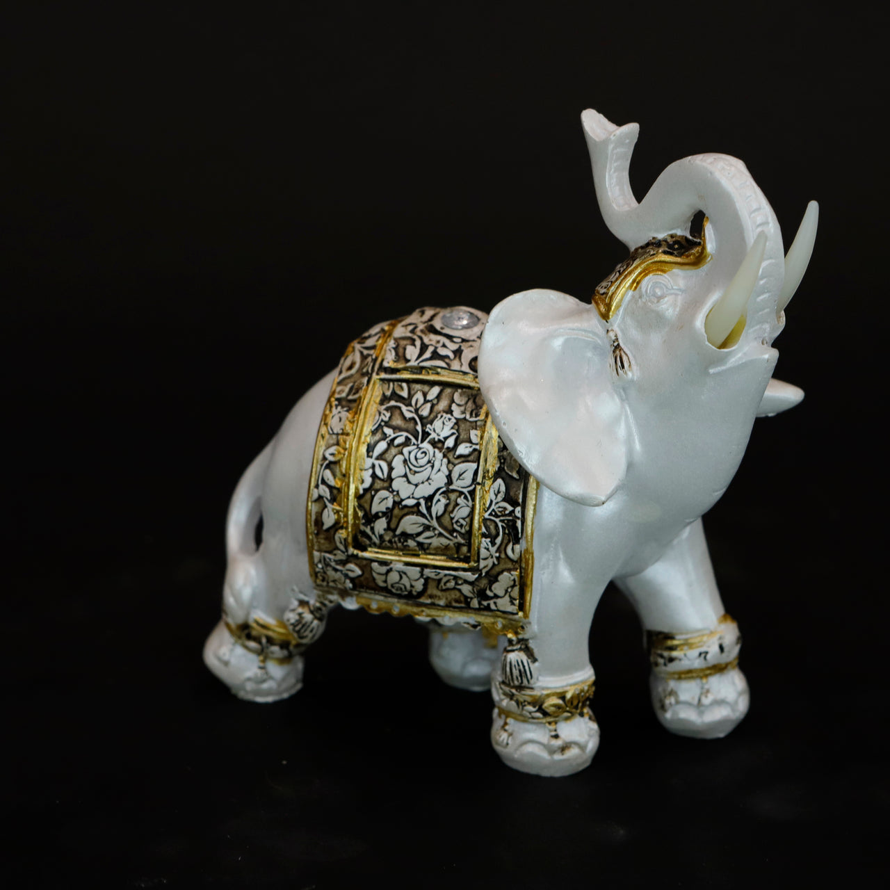 HCHD6565 - M White Elephant Right