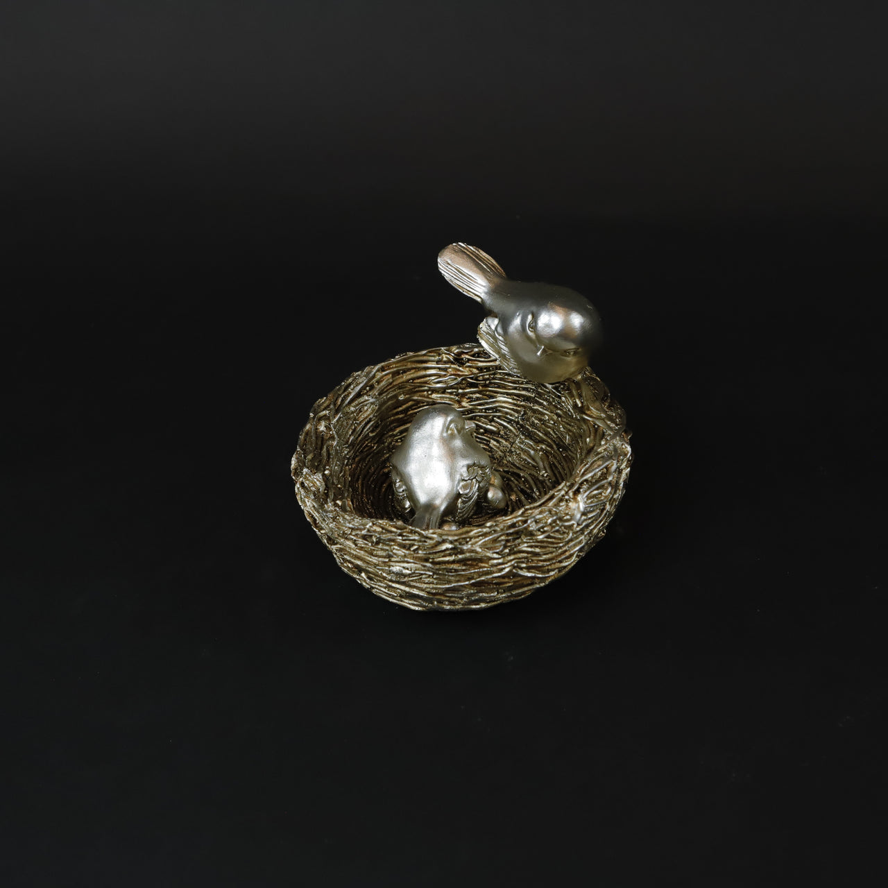 HCHD6866 - Birds in a Nest