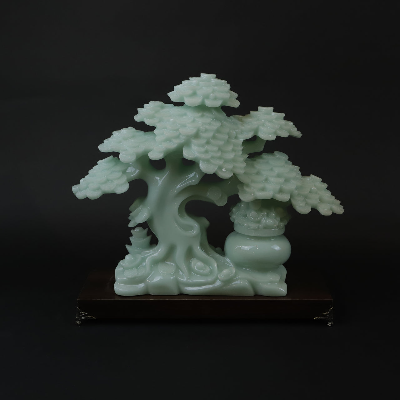 HCHD6882 - Green Jade Bonsai Tree