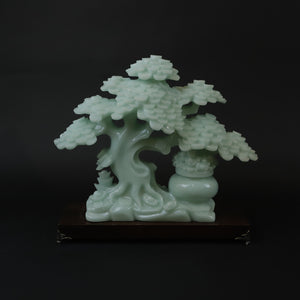 HCHD6882 - Green Jade Bonsai Tree